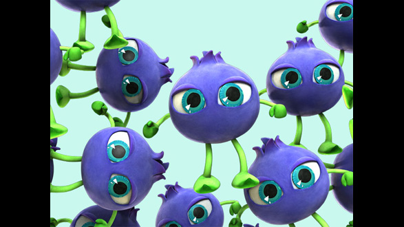 WAKASA SEIKATSU BLUEBERRY-EYE series