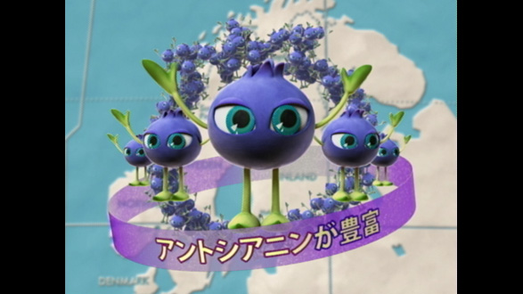 WAKASA SEIKATSU BLUEBERRY-EYE series